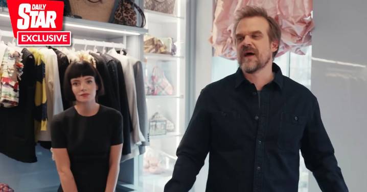 Lily Allen and David Harbour's 'insecurities' caught on video years before split