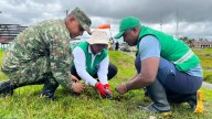 500.000 árboles en 60 segundos: Modelo colombiano de reforestación se expande a otros países