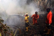 Japan: One person dies, over 170 buildings damaged after fire erupts in Oita