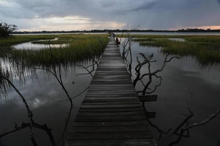 EPA moves to limit scope of clean water law to reduce amount of wetlands it covers