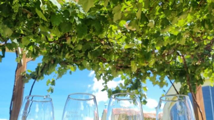 El país de Latinoamérica que ‘abre’ espacio entre las mejores viñas del mundo, según importante ranking