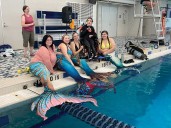 Diveheart: Stories From the Heart – Mermaid Dreams Come True