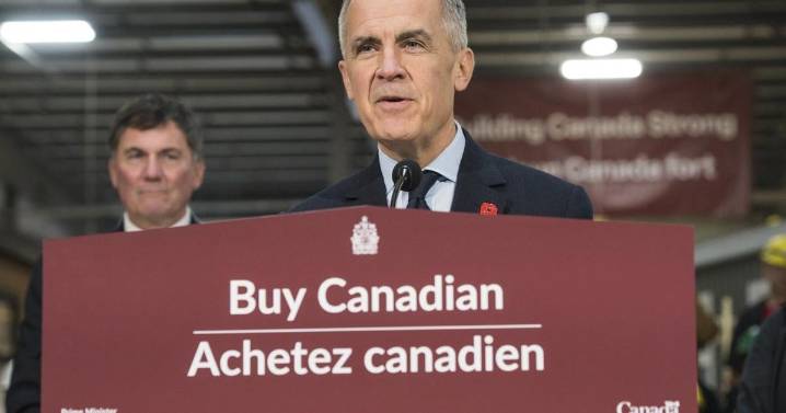 LNG project, mines, hydro dam, power lines among latest major project referrals