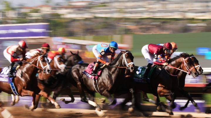 Forever Young beats defending champion Sierra Leone to win $7M Breeders' Cup Classic