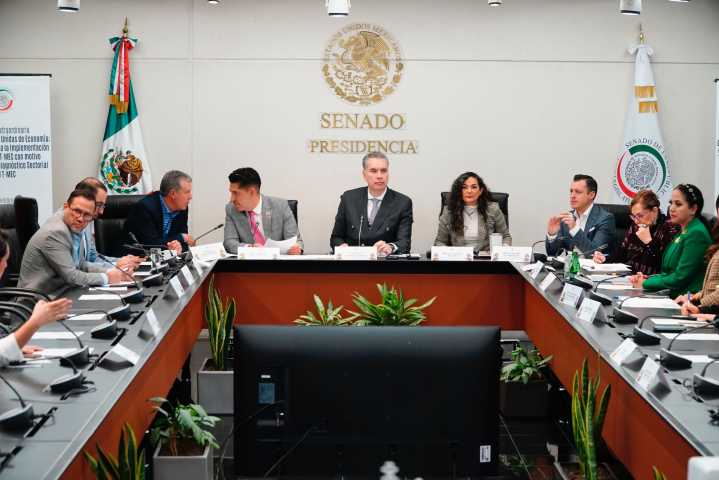 Afirma Waldo Fernández que Senado dará bases para negociar T