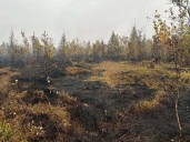 Alvin Runnalls Forest fire cost sharing decision deferred at SDG level