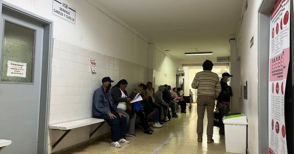 Ginecóloga salteña pidió una campaña urgente para prevenir el cáncer de testículo