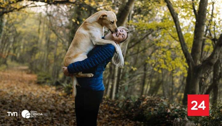 Estudio chileno revela que los perros pueden portar bacterias resistentes a los antibióticos en humanos