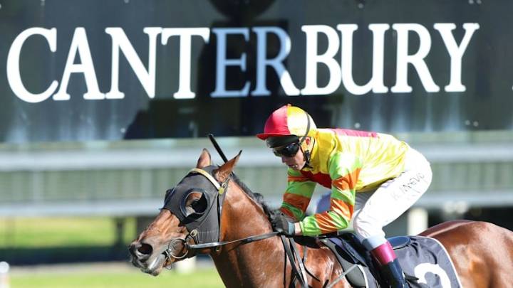 Trainer hopes to get more shine out of Twinkling Star