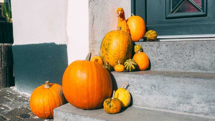 How Weather Wrecks Your Pumpkins Every Fall