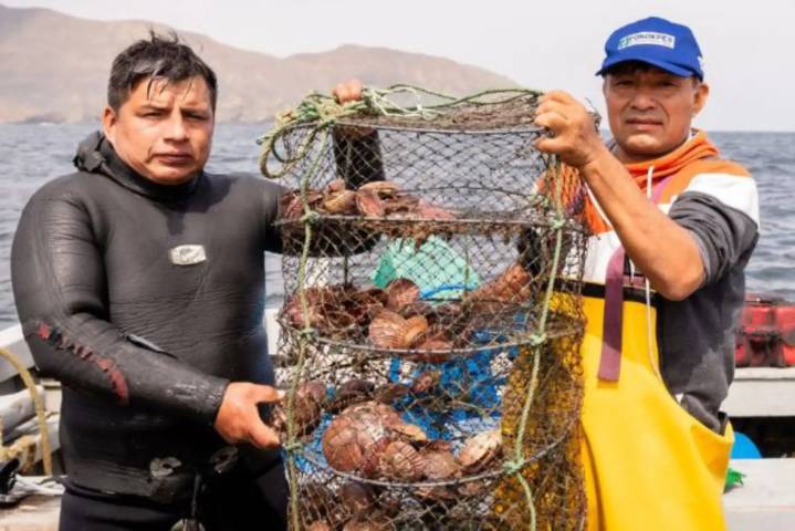 Produce otorga más de S/ 39 millones en créditos a maricultores de Sechura