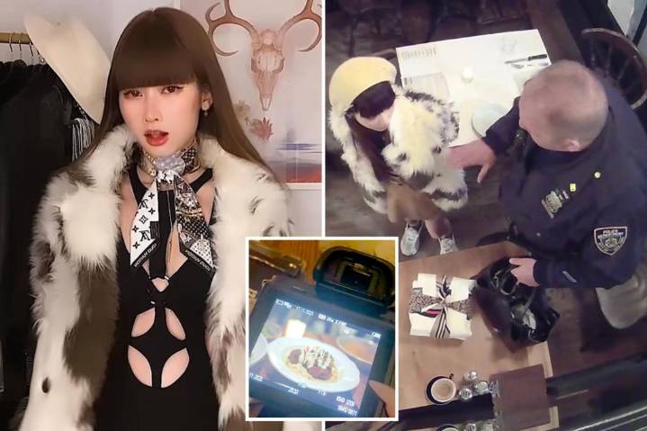 NYC's accused dine-and-dash diva ordered to undergo psych evaluation by judge