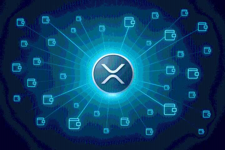 XRP: 21.595 nuovi wallet creati in 48 ore — il dato più alto da 8 mesi