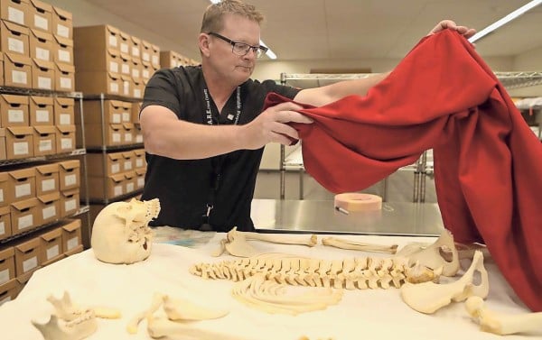 En 2 años fiscales, más de 450 migrantes fallecidos