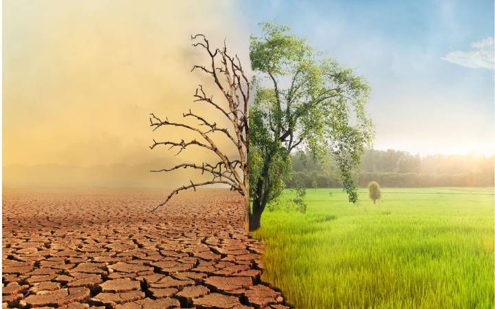 Pérdida de biodiversidad, crisis climática y contaminación, muy interrelacionados entre sí