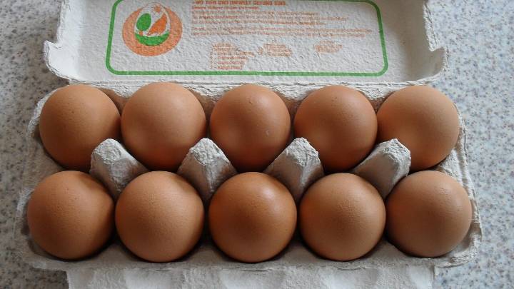 $80 Million Carton of Eggs Smashes Record in Sotheby's Auction