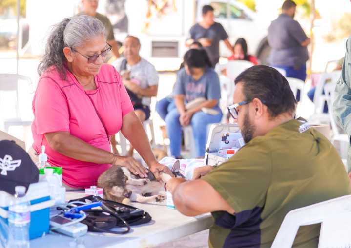 Mascotas sanas en Reynosa con programa veterinario del Alcalde Carlos Peña Ortiz