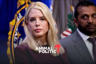 Fiscal de EU resalta trabajo con seguridad mexicana tras dichos de Trump sobre ataques a cárteles