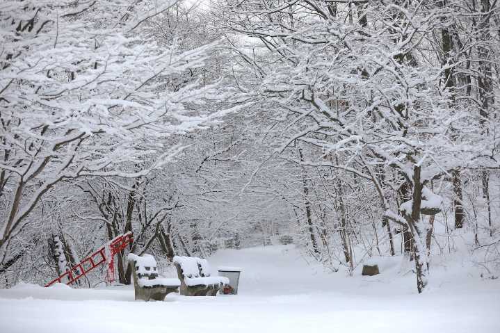 Old Farmer’s Almanac releases Christmas forecast: Will NYC see a white Christmas in 2025?