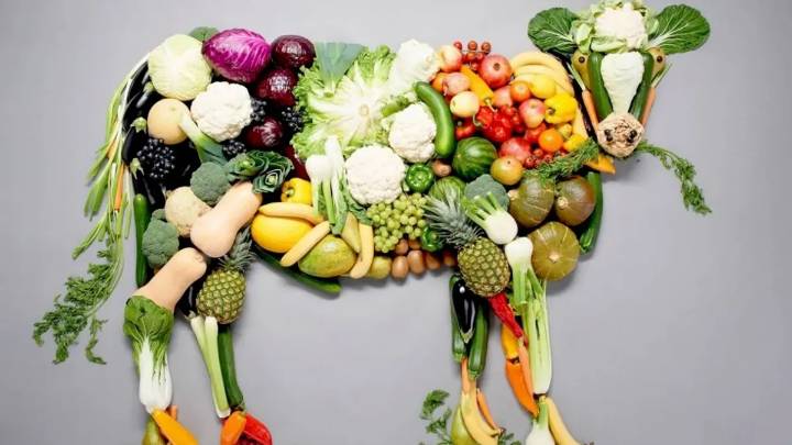 Día Mundial del Veganismo: ¿por qué se celebra hoy?