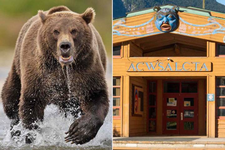 Mom’s Son Was So Close to Attacking Grizzly That He 'Felt Its Fur'