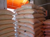 Tras movilizaciones, industriales se niegan a comprar maíz a productores