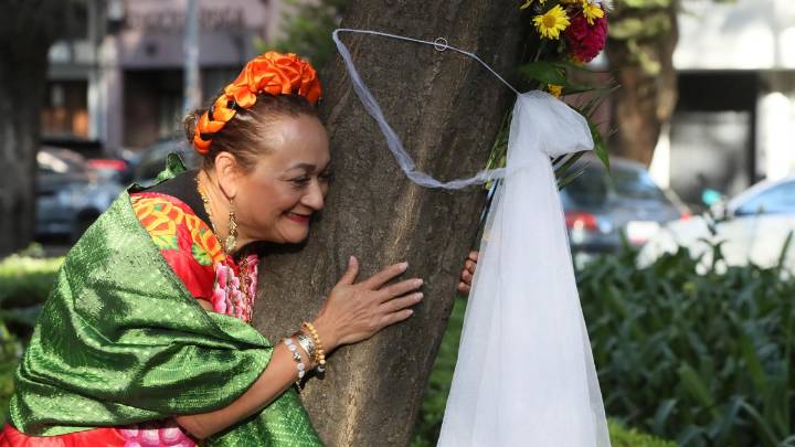 Una "boda" entre personas y árboles en México busca concienciar sobre la deforestación