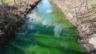 Why water in Windsor's Grand Marais drain looks neon green