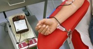 Alerta en Salta: convocan a donar sangre en plaza Belgrano por falta de reservas
