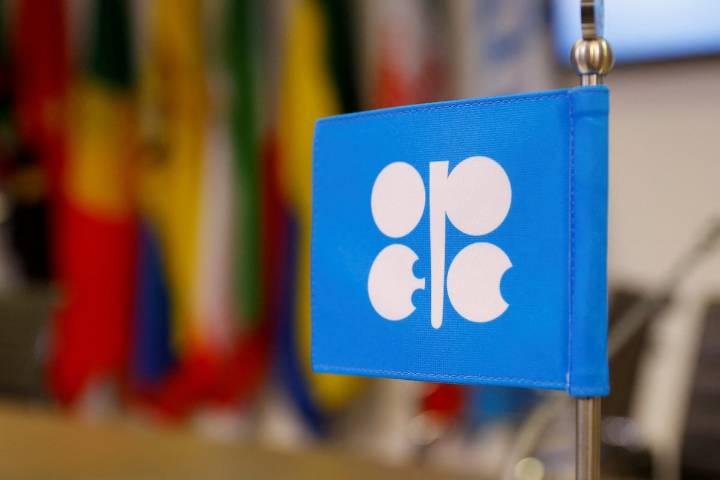 OPEC+ likely to hold oil output levels steady during first quarter of 2026, sources say