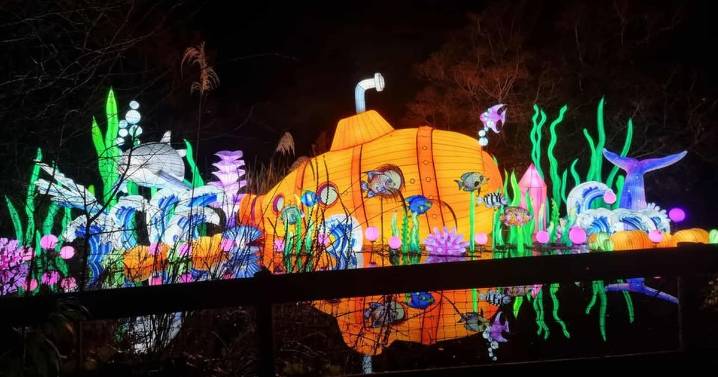 Spectacular light trail an hour from Glasgow transports families to giant coastal wonderland