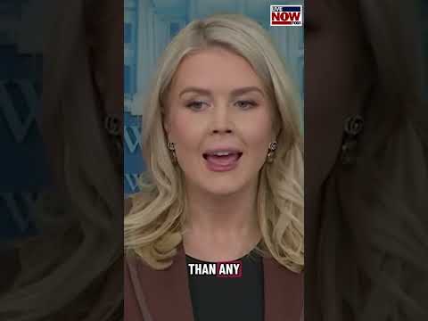 A reporter asked White House Press Secretary Leavitt why Trump won’t release the Epstein files