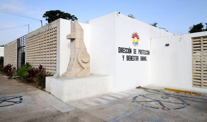 Gobierno de BJ restructurará la dirección de bienestar animal