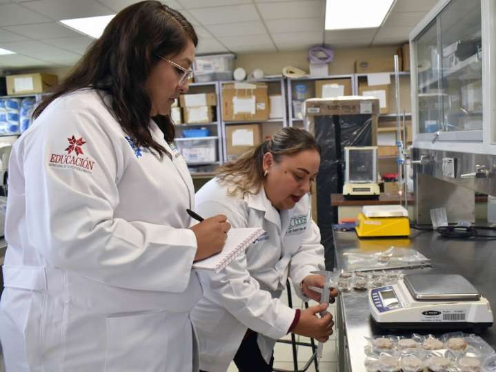 En ITESA desarrollan proyecto para proteger a las abejas con alimento a base de tuna