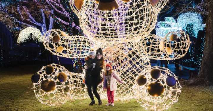 'A memory-making experience.' Wild Lights at the Detroit Zoo features more than 1 million lights