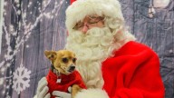 Local pets and their owners take pictures with Santa to benefit Animal Welfare Association