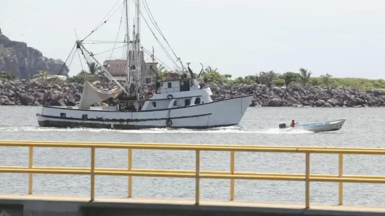 Sin repuntar primer viaje de capturas de camarón azul, reportan pescadores