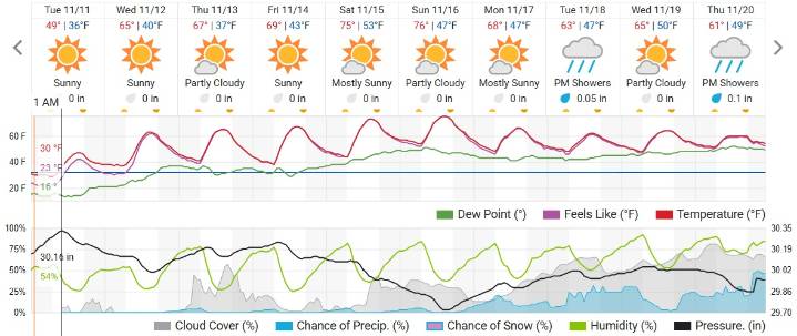 First Snowfall of the Season Blankets Charlotte as Arctic Blast Freezes the Carolinas
