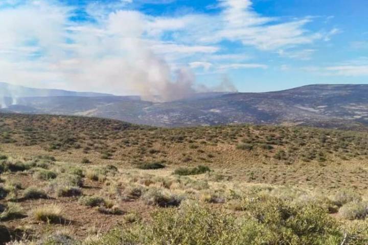 Provincia combate incendios forestales en el norte y centro