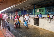 Vendedores de pescados en Tucupita mantienen precios en bolívares pese a comprar mercancía en dólares