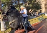 Diputado Alfredo Lozoya cae de su caballo durante grabación en la Plaza del Ángel