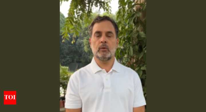 Rahul Gandhi's appeal to 'Gen Z' on eve of Bihar polls; urges youth to prevent 'vote chori'