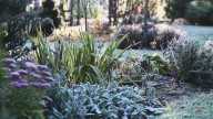 Design A Beautiful Garden That Looks Equally Stunning In Winter Weather