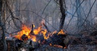 National park fire mostly contained