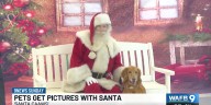 Pets get pictures with 'Santa CAAWS'