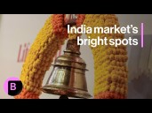 The Bright Spots in India's Stock Market Right Now