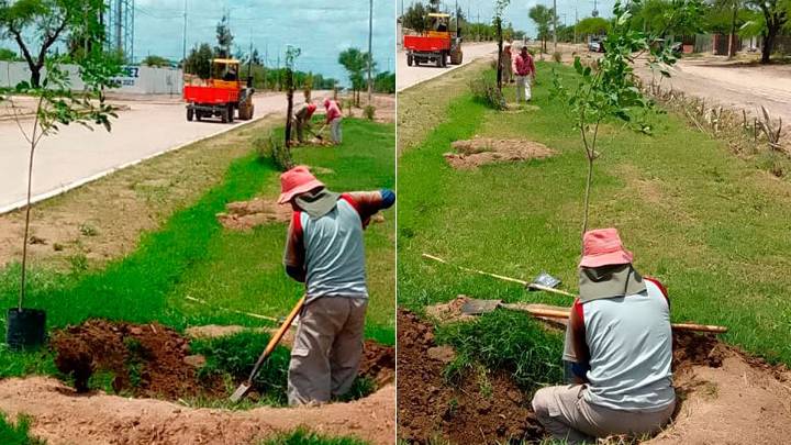 Colonia El Simbolar avanza con un proyecto de forestación para fortalecer su patrimonio ambiental