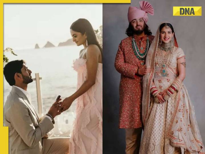 Is Netra-Vamsi’s wedding more expensive than Anant Ambani