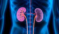 Lifestyle disorders pushing India towards kidney disease epidemic, says renowned nephrologist