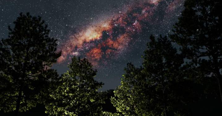 Bringing the stars inside: Macon County Conservation District launches StarLab Planetarium